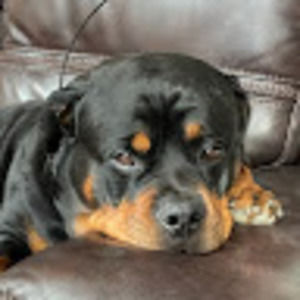 Meet your Posher, Glen